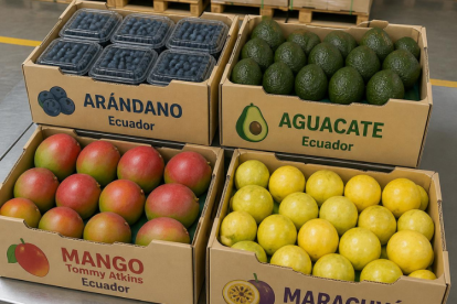 El mango y el arándano combinaron mayor volumen con mejores precios, mientras que en aguacate y maracuyá casi todo el crecimiento en valor se explica por exportar más cantidad.