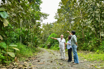 Producción. De izq. a der.: Matecki, Wazhima y Mogrovejo, en en el Rancho Alemán, Bucay, donde 10 hectáreas de teca se manejan bajo un sistema agroforestal experimental.