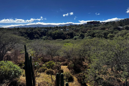 El parque Los Algarrobos es un bosque seco nativo que resiste al crecimiento habitacional del Valle de Tumbaco.
