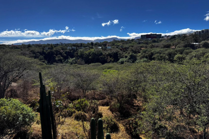El parque Los Algarrobos es un bosque seco nativo que resiste al crecimiento habitacional del Valle de Tumbaco.