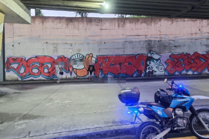 El hecho generó preocupación en este transitado punto.