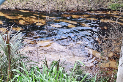 El crudo desciende por el río Cupa, en Quinindé, mientras avanzan los trabajos para contener la contaminación y evitar que se extienda a otros sectores.