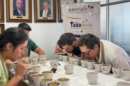 Expertos analizan cafés de especialidades de Ecuador, en el concurso de la Taza Dorada.