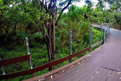 La isla Santay es un ecosistema tropical de la costa ecuatoriana.