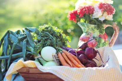 Una alimentación saludable requiere, entre otras cosas, la ingesta de frutas y vegetales. Sin embargo, también es necesario saber de dónde vienen los alimentos.