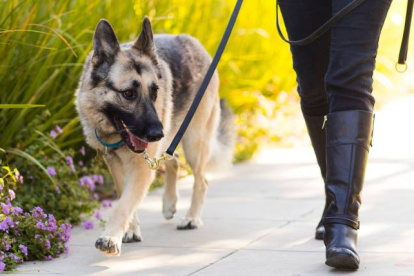 Las evaluaciones que permitieron llegar a esta conclusión comenzaron en 2013.