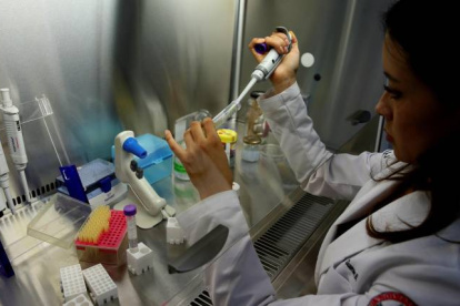 Linda Guamán participa en una investigación que busca equiparar el olor y sabor de la carne vegetal con la animal.