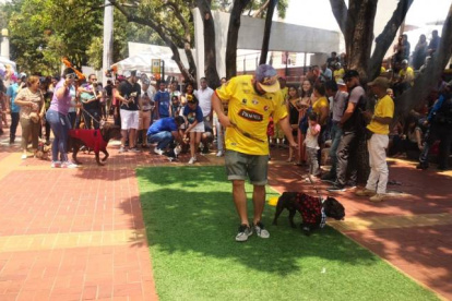 Desde el domingo 20 de octubre, los malecones permitirán el ingreso de las mascotas