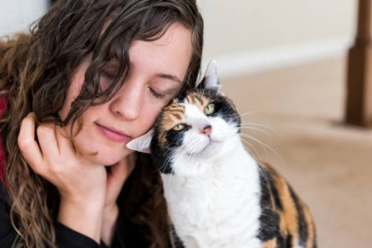 Los dueños de los felinos tuvieron que realizar diferentes test.