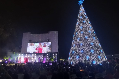 En la estructura, en cuya punta sobresale también una enorme estrella gris que en cuestión de segundos se tornó multicolor, figuran 80 copos de nieve llamaron la atención.