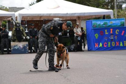 Diversas ferias se desarrollarán en centros educativos.