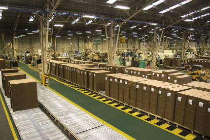 Surpapelcorp adquirió las acciones de Procarsa (Dole) en el año 2009.