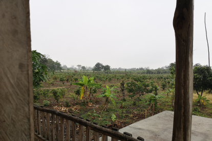 En Jujan, Guayas, llovió ligeramente