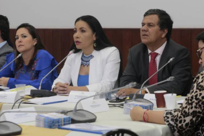 Comisión. La presidenta del Consejo Nacional Electoral, Diana Atamaint, compareció ayer en la Asamblea Nacional por el caso Arroz Verde.