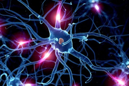 Las neuronas artificiales actuarán como lo hacen las reales, según los investigadores.