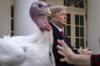 WASHINGTON, DC - NOVEMBER 26: U.S. President Donald Trump stands next to Butter, the National Thanksgiving Turkey, after giving him a presidential pardon during the traditional event in the Rose Garden of the White House November 26, 2019 in Washington, DC. The turkey pardon was made official in 1989 under former President George H.W. Bush, who was continuing an informal tradition started by President Harry Truman in 1947. Following the presidential pardon, the 47-pound turkey which was raised by farmer Wellie Jackson of Clinton, North Carolina, will reside at his new home, "Gobbler"s Rest," at Virginia Tech.   Drew Angerer/Getty Images/AFP