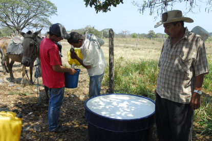 Balzar es un cantón productor de leche y queso