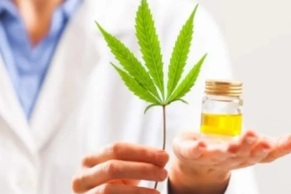 Varios estudios destacan el valor medicinal del aceite de cannabis.