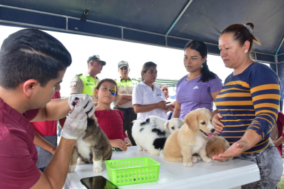 Los cachorros que nazcan en la maternidad serán dados en adopción.