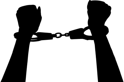 La macrooperación contra la pornografía infantil fue coordinada por la Europol.