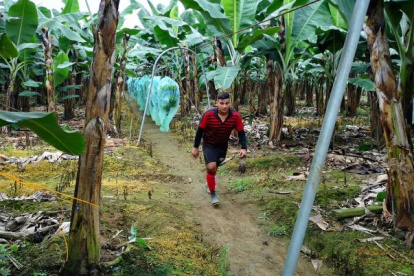 Hasta octubre de este año, se vendieron 293"821.827 de cajas