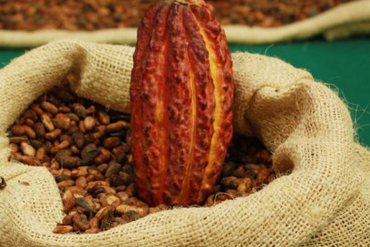 El chocolate que elija debe tener preferiblemente el mayor porcentaje de cacao puro sin exceso de azúcar.