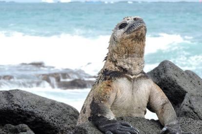 La fauna y flora de las islas son protegidas