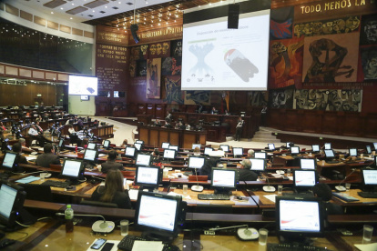 El asambleísta Esteban Albornoz expuso cifras sobre el tema.