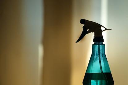 La RAE acepta el término flusflús en la lengua coloquial.