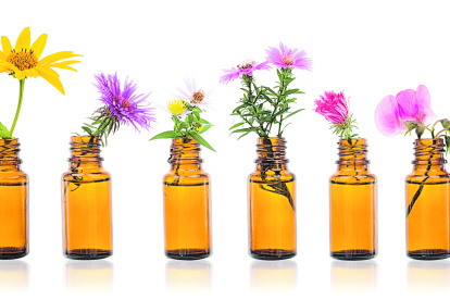 Quienes traten pacientes con esta terapia deben estar certificados por el Centro de Bach de Inglaterra.