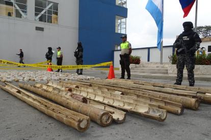 La sustancia se encontraba oculta en cañas guadúa.