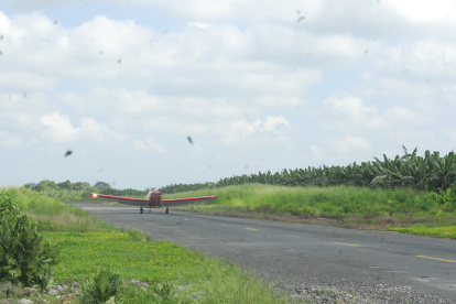La fumigación contra la sigatoka negra es aérea