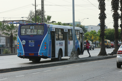 Una pasajera llegó hasta el parterre para tomar el bus.