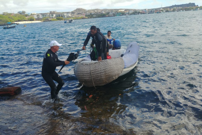Buzos inspeccionaron a las especies marinas dentro de la zona donde se produjo el derrame.