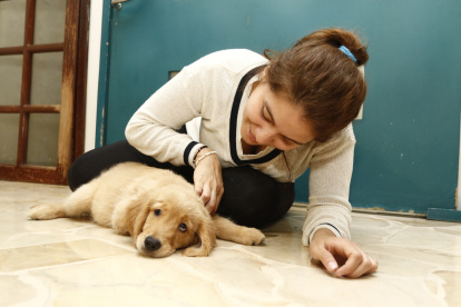 Para tranquilizar a los animales la noche del 31 de diciembre, en Ceibos Animal Care los cuidadores permanecen junto a ellos todo el tiempo