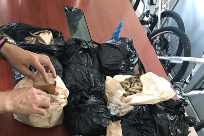 Camaretas decomisadas por la Policía.