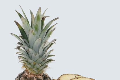 Por sus beneficiosas propiedades, esta fruta debe ser parte de la dieta.