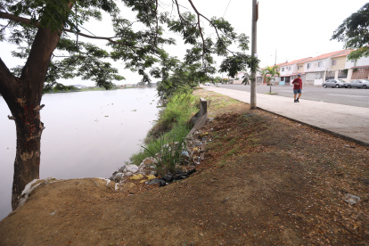 Los habitantes de Mucho Lote 2 aseguran que el sitio es utilizado para consumir drogas y alcoho.