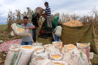 Los agricultores 

Agencia (ag-rios)