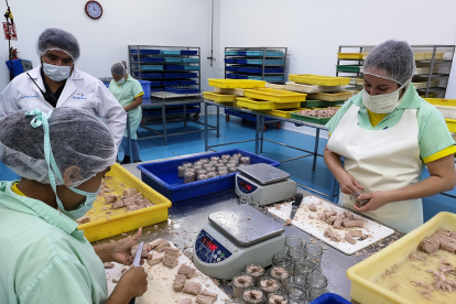 Ecuador es el primer país atunero en el Océano Pacífico Oriental