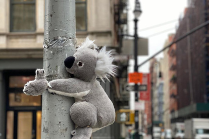 Los peluches se encuentran ubicados en distintos puntos de las avenidas principales de Nueva York.