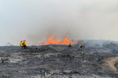 Desde la mañana de este 15 de enero, las tareas de sofocación se reforzaron.