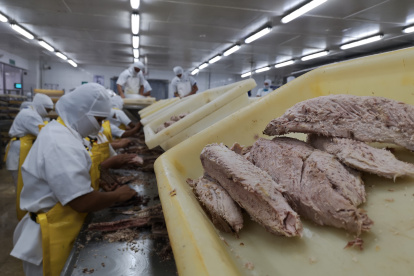La industria manufacturera emplea al 10,3 % de la población económicamente activa.