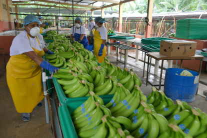 Dato. Las cifras laborales de 2019 tuvieron un impacto negativo en la tasa de empleo adecuado.