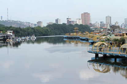 Hecho. Los expertos hacen énfasis en la necesidad de devolverle la vida al río y al estero Salado.