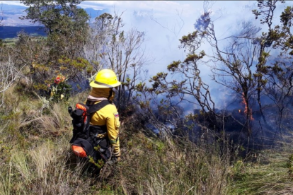Hasta la tarde de hoy, los bomberos continuaban en el sitio, para evitar que se avive el fuego.