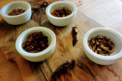 Grub Kitchen es el primer restaurante de insectos comestibles de Gran Bretaña.