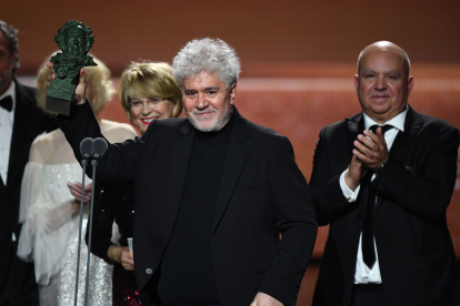 Su filme "Dolor y gloria" se llevó siete galardones: mejor película, dirección, actor, actriz de reparto, montaje, mejor música y guion original.