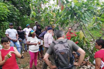 Asesorías. Los técnicos visitan las fincas para impartir conocimientos sobre las buenas prácticas agrícolas.