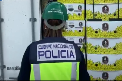 La cocaína fue escondida en mochilas junto a un contenedor de banano.
